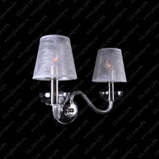 N21 905/02/0; SILVER